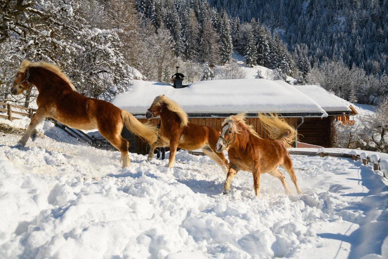 Gut Berg Naturhotel Sankt Johann im Pongau Eksteriør billede